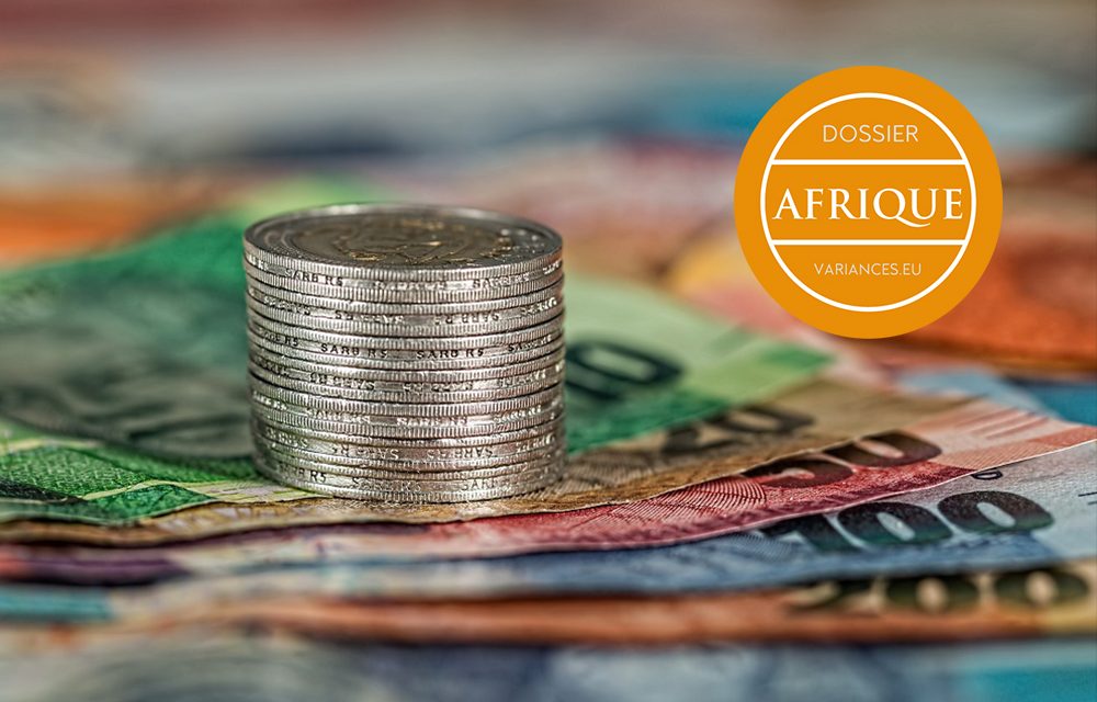 L’environnement institutionnel et les liens entre les flux de capitaux et la fuite des capitaux en Afrique : cas du Cameroun