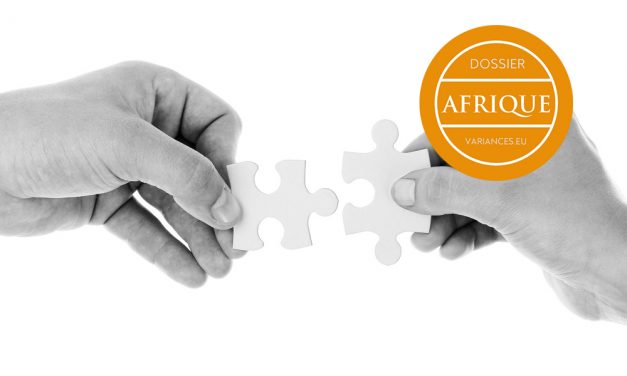 Rôle, enjeux et défis des partenariats public-privé (PPP) en Afrique subsaharienne