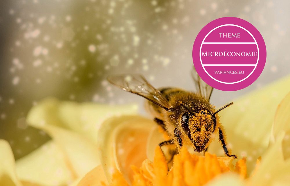 Le commerce du miel et des abeilles, entre fables et réalités