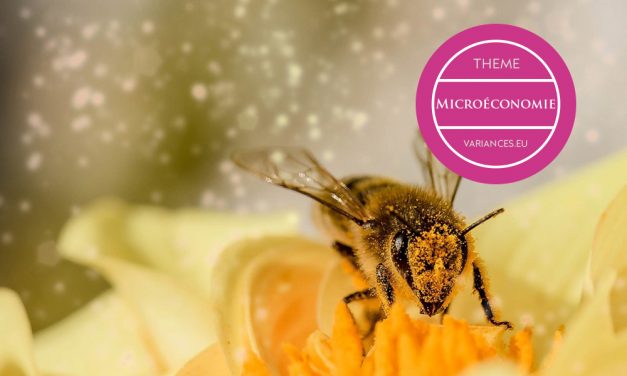 Le commerce du miel et des abeilles, entre fables et réalités