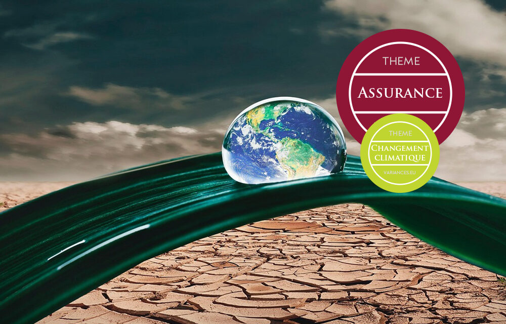 Renforcer la résilience climatique : une responsabilité partagée entre acteurs publics, privés et citoyens