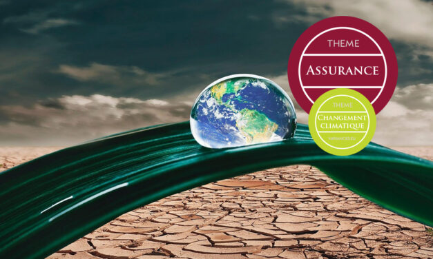 Renforcer la résilience climatique : une responsabilité partagée entre acteurs publics, privés et citoyens