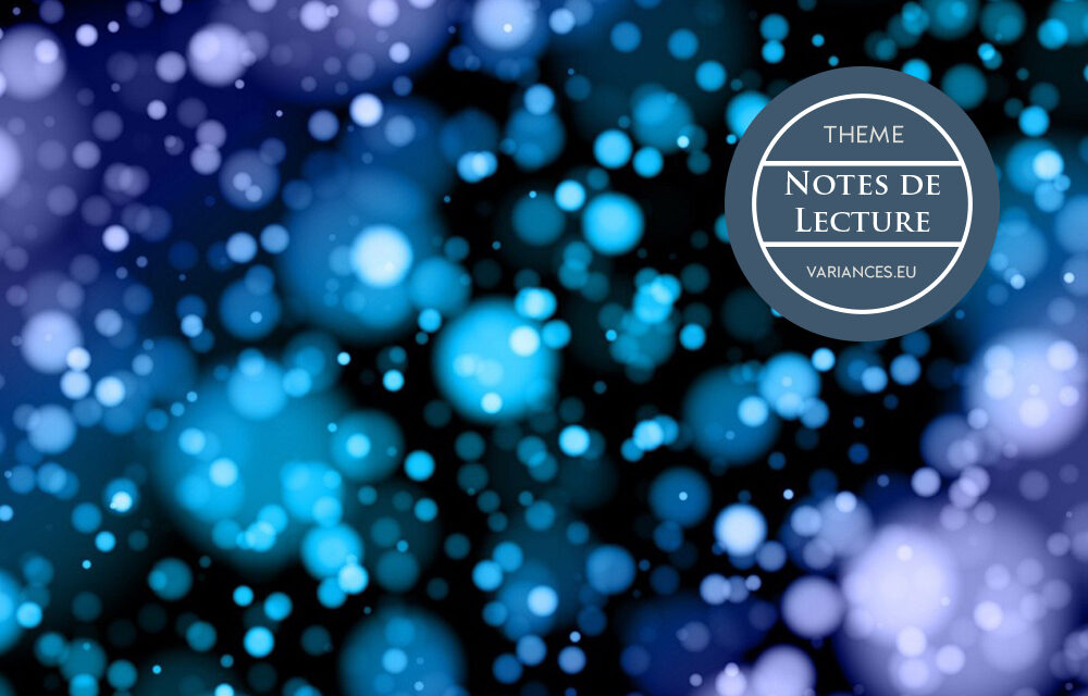 Notes de lecture : « Dessine-moi un simulateur »